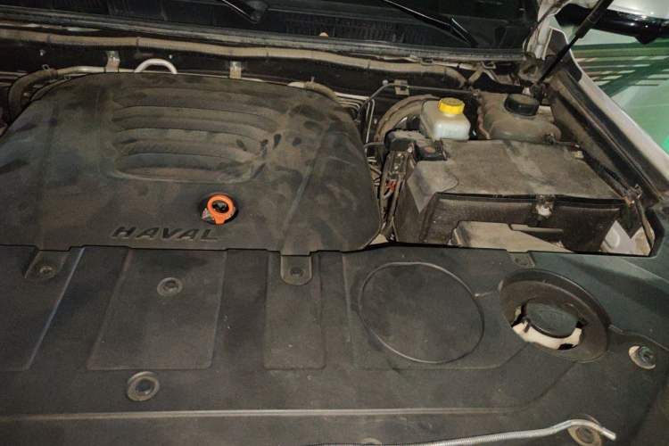 Used Haval H9 2020 2.0T Gasoline 4WD Premium Edition 5 Seats Engine Bay Left