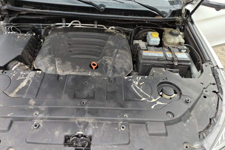 Used Haval H9 2020 2.0T Gasoline 4WD Smart Enjoyment Version 5 Seats Engine Bay Left