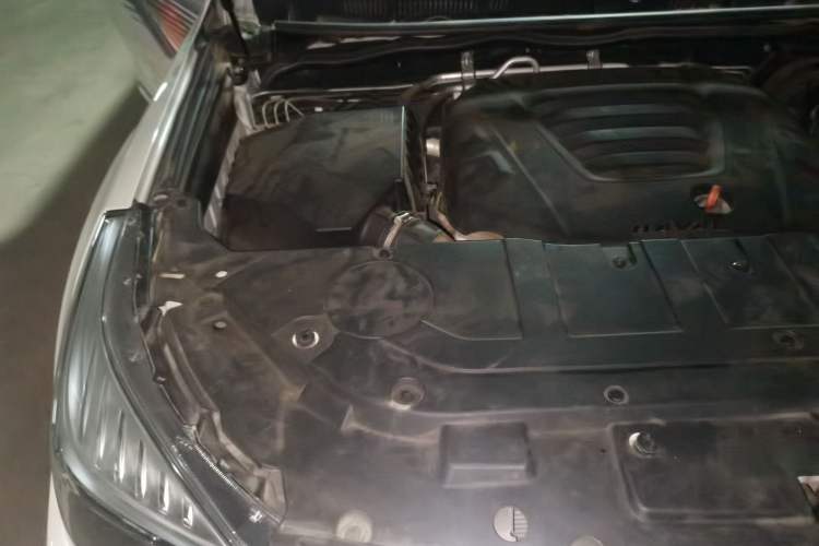 Used Haval H9 2020 2.0T Gasoline 4WD Premium Edition 5 Seats Engine Bay Right