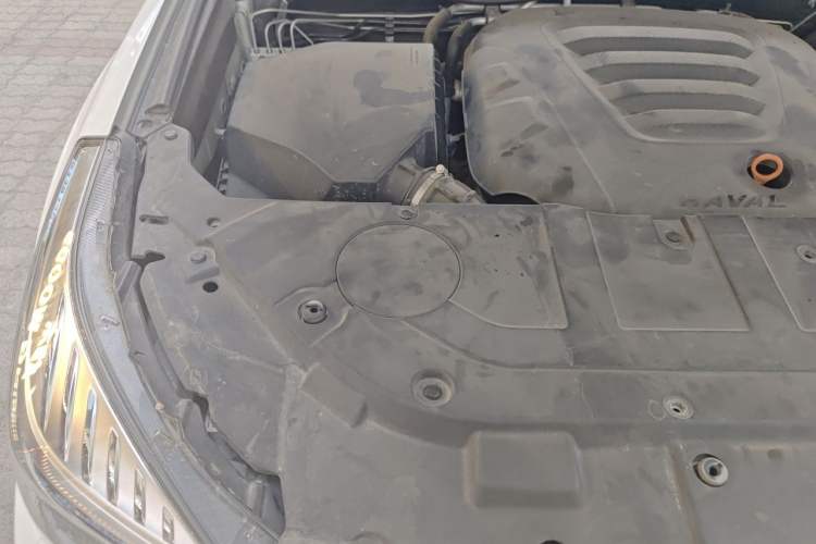 Used Haval H9 2020 2.0T Gasoline 4x4 Elite Version 5 Seats Engine Bay Right