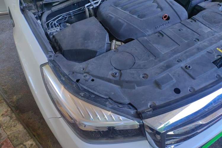 Used Haval H9 2020 2.0T Gasoline 4WD Premium Edition 5 Seats Engine Bay Right