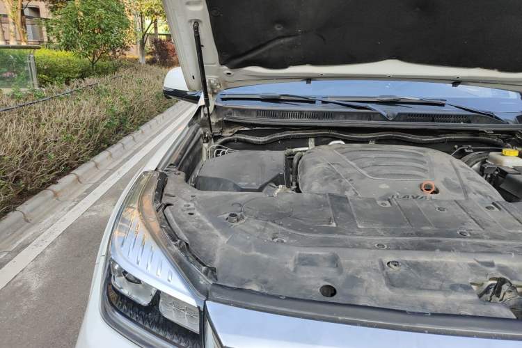 Used Haval H9 2020 2.0T Gasoline 4x4 Prestige 7-Seater Engine Bay Right