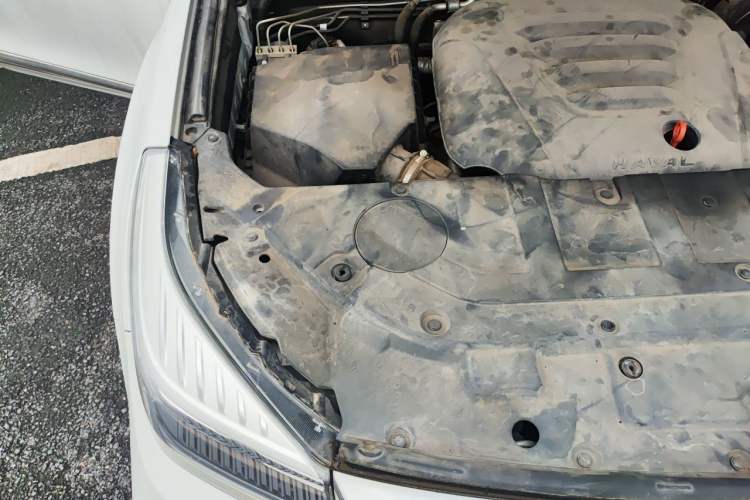 Used Haval H9 2020 2.0T Gasoline 4x4 Elite Version 5 Seats Engine Bay Right