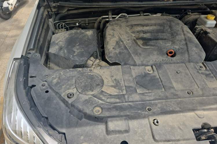 Used Haval H9 2020 2.0T Gasoline 4x4 Elite Version 5 Seats Engine Bay Right
