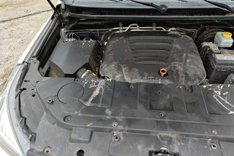 Used Haval H9 2020 2.0T Gasoline 4WD Smart Enjoyment Version 5 Seats Engine Bay Right