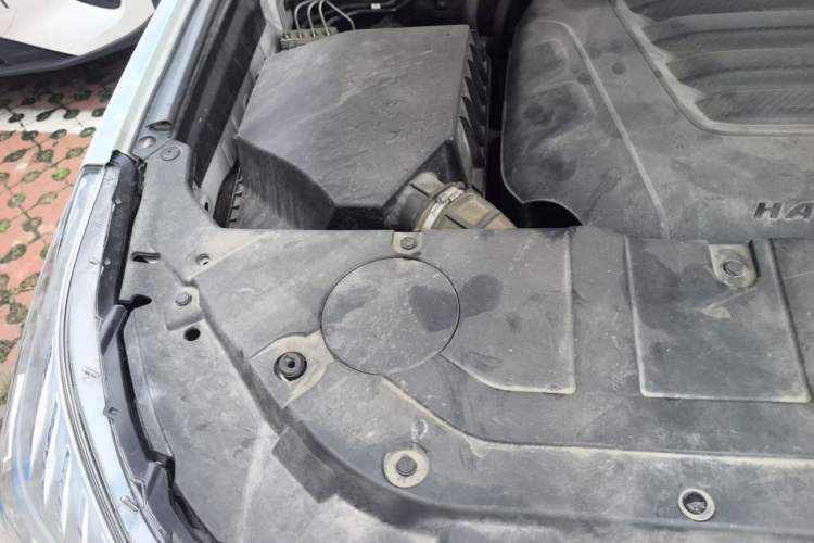 Used Haval H9 2020 2.0T Gasoline 4WD Smart Enjoyment Version 5 Seats Engine Bay Right