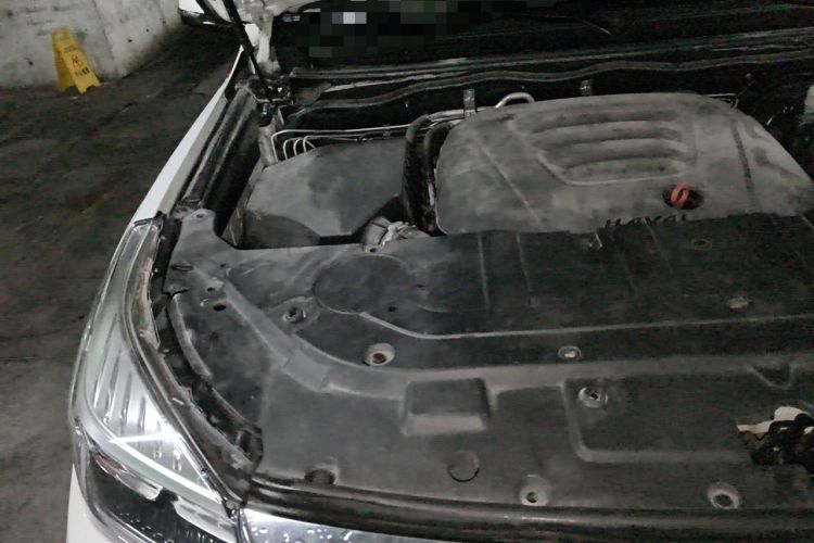 Used Haval H9 2020 2.0T Gasoline 4x4 Elite Version 5 Seats Engine Bay Right