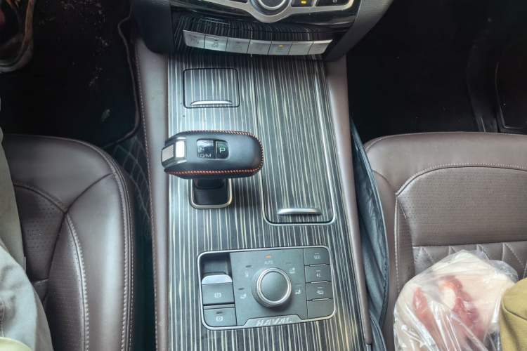 Used Haval H9 2020 2.0T Gasoline 4x4 Luxury 7-Seater Gear Lever