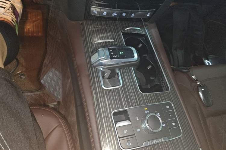 Used Haval H9 2020 2.0T Gasoline 4x4 Luxury 7-Seater Gear Lever