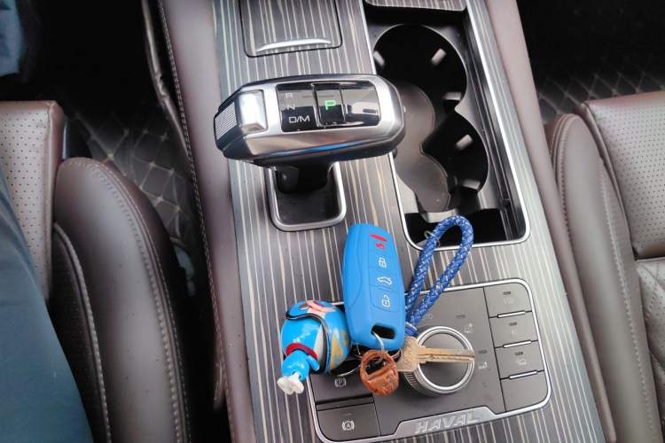 Used Haval H9 2020 2.0T Gasoline 4WD Premium Edition 5 Seats Gear Lever