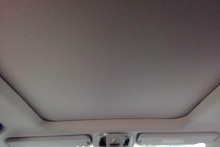 Used Haval H9 2020 2.0T Gasoline 4WD Premium Edition 5 Seats Headliner