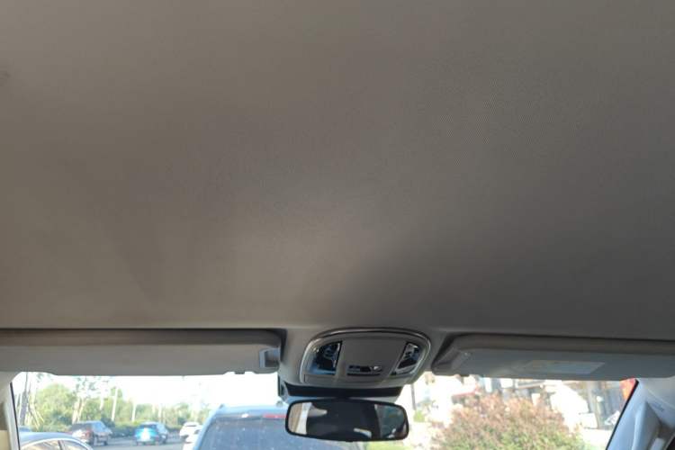 Used Haval H9 2020 2.0T Gasoline 4x4 Elite Version 5 Seats Headliner