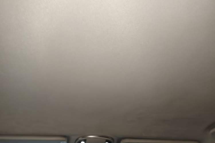 Used Haval H9 2020 2.0T Gasoline 4x4 Elite Version 5 Seats Headliner