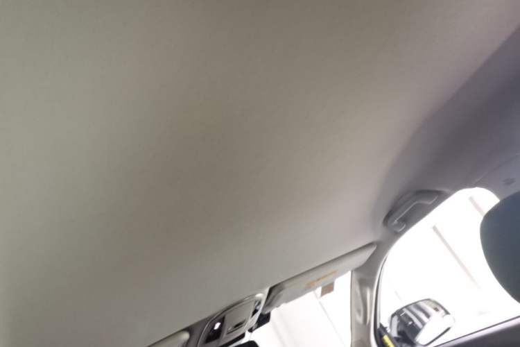 Used Haval H9 2020 2.0T Gasoline 4x4 Elite Version 5 Seats Headliner