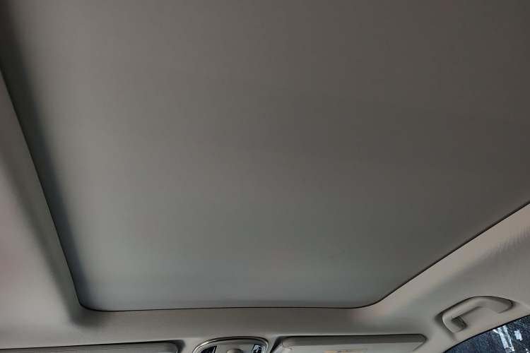 Used Haval H9 2020 2.0T Gasoline 4WD Premium Edition 5 Seats Headliner