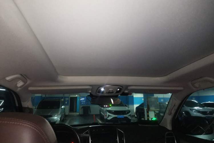 Used Haval H9 2020 2.0T Gasoline 4WD Premium Edition 5 Seats Headliner
