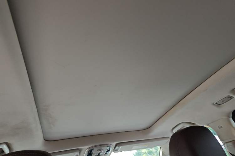 Used Haval H9 2020 2.0T Gasoline 4WD Premium Edition 5 Seats Headliner
