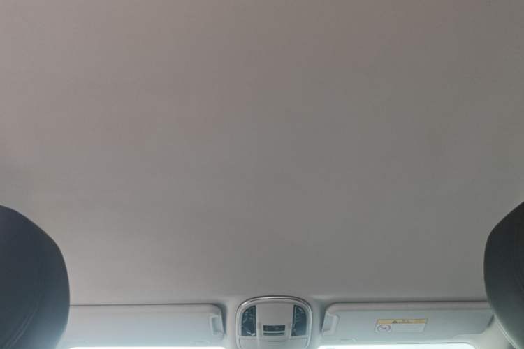 Used Haval H9 2020 2.0T Gasoline 4x4 Elite Version 5 Seats Headliner