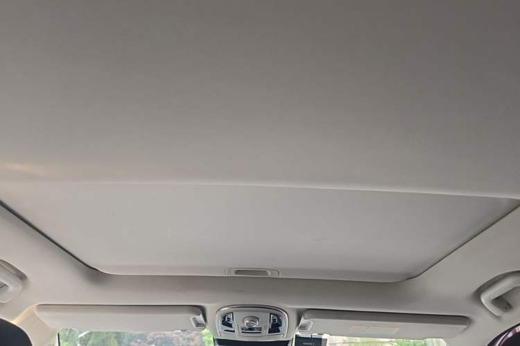 Used Haval H9 2020 2.0T Gasoline 4x4 Elite Version 5 Seats Headliner
