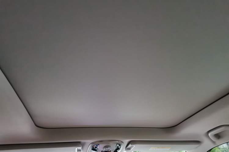 Used Haval H9 2020 2.0T Gasoline 4WD Premium Edition 5 Seats Headliner