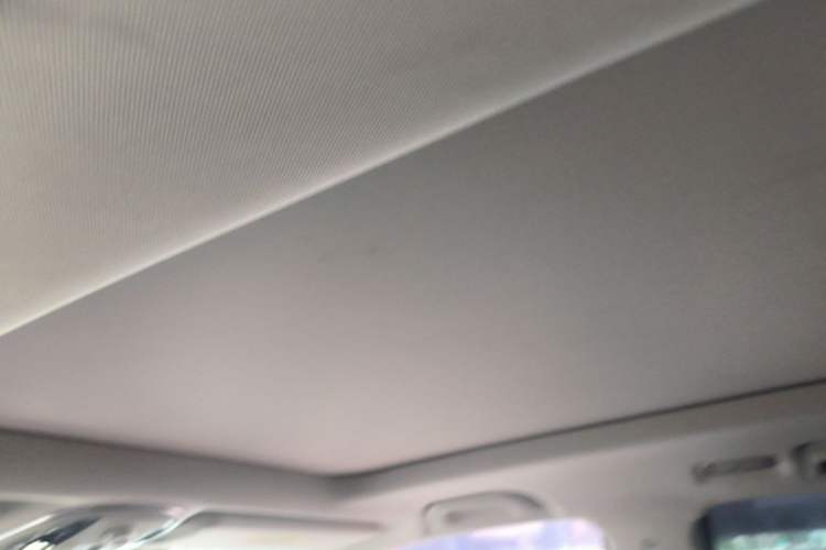 Used Haval H9 2020 2.0T Gasoline 4WD Premium Edition 5 Seats Headliner