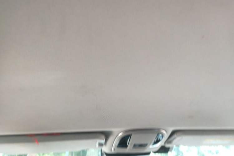 Used Haval H9 2020 2.0T Gasoline 4x4 Elite Version 5 Seats Headliner