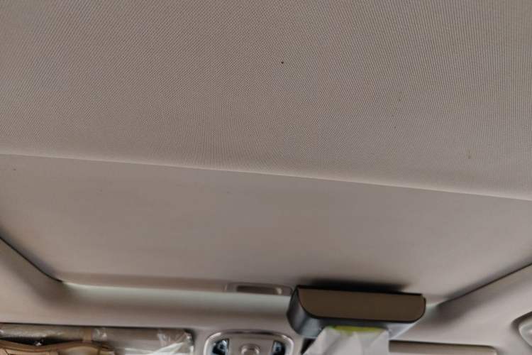 Used Haval H9 2020 2.0T Gasoline 4x4 Luxury 7-Seater Headliner