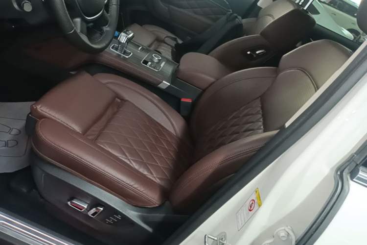 Used Haval H9 2020 2.0T Gasoline 4WD Premium Edition 5 Seats Left Front Seat