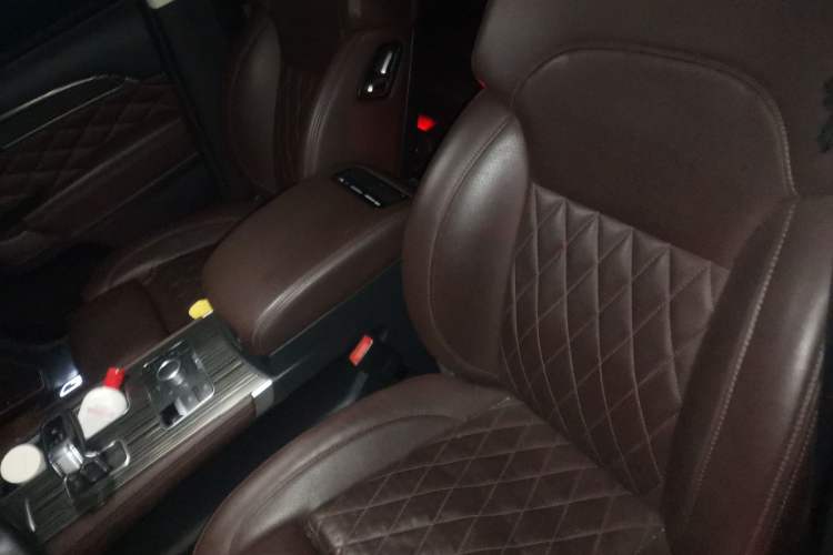 Used Haval H9 2020 2.0T Gasoline 4WD Premium Edition 5 Seats Left Front Seat