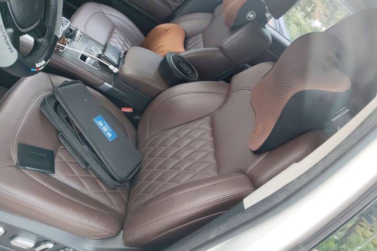 Used Haval H9 2020 2.0T Gasoline 4x4 Luxury 7-Seater Left Front Seat