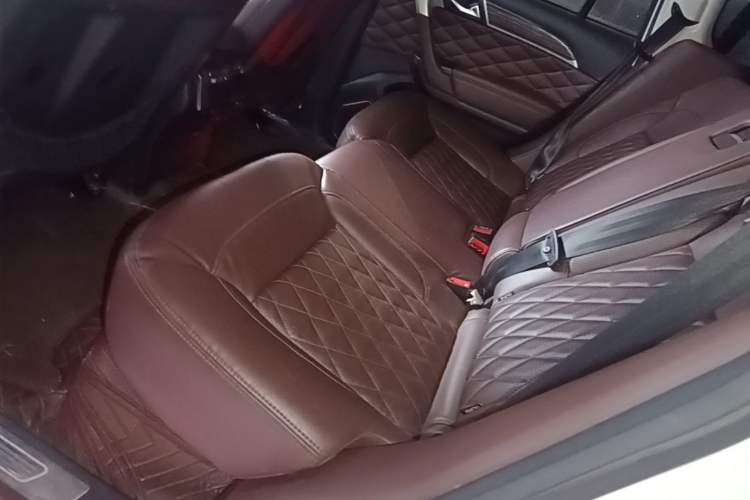 Used Haval H9 2020 2.0T Gasoline 4WD Premium Edition 5 Seats Left Rear Seat