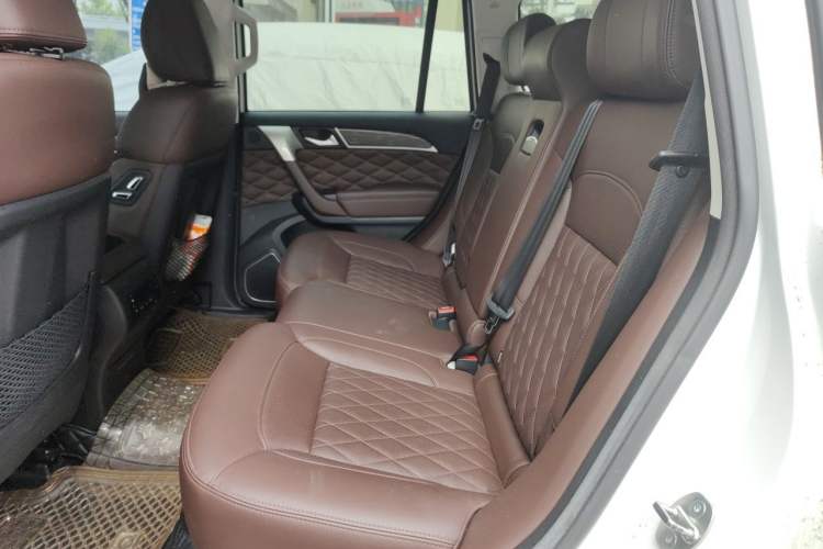 Used Haval H9 2020 2.0T Gasoline 4WD Premium Edition 5 Seats Left Rear Seat