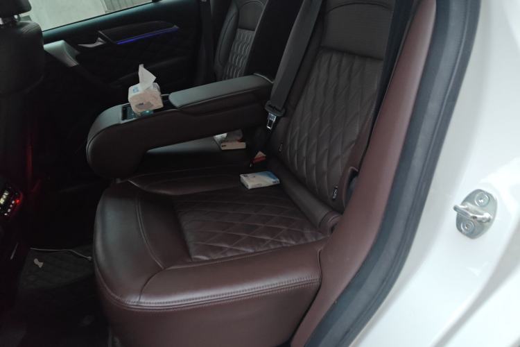Used Haval H9 2020 2.0T Gasoline 4WD Premium Edition 5 Seats Left Rear Seat