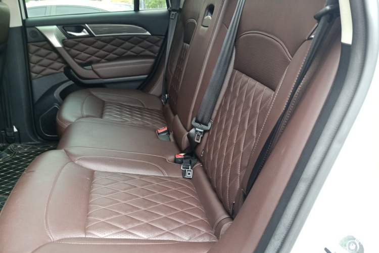 Used Haval H9 2020 2.0T Gasoline 4WD Premium Edition 5 Seats Left Rear Seat