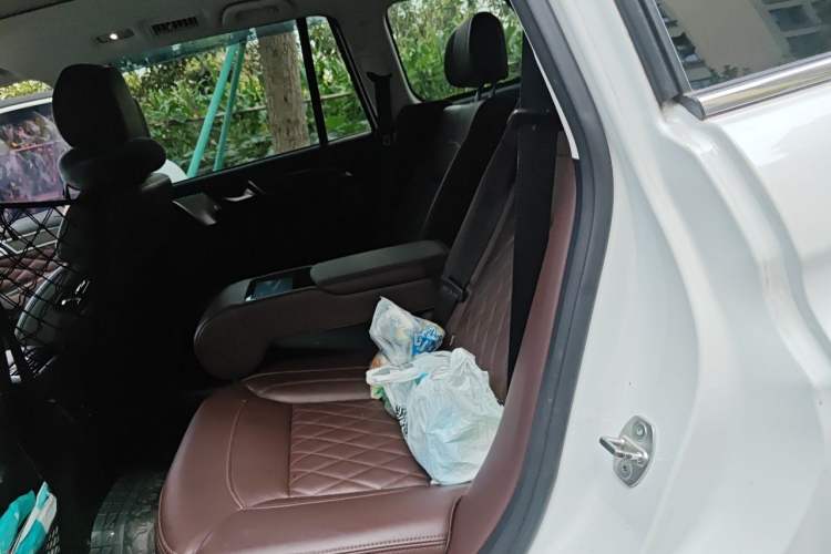 Used Haval H9 2020 2.0T Gasoline 4WD Premium Edition 5 Seats Left Rear Seat