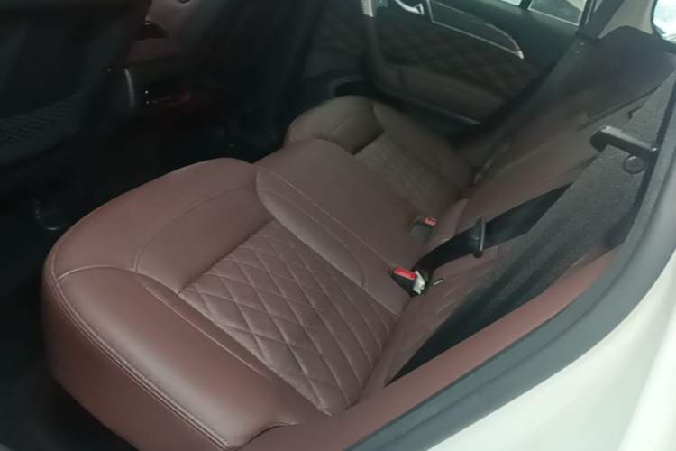 Used Haval H9 2020 2.0T Gasoline 4WD Premium Edition 5 Seats Left Rear Seat