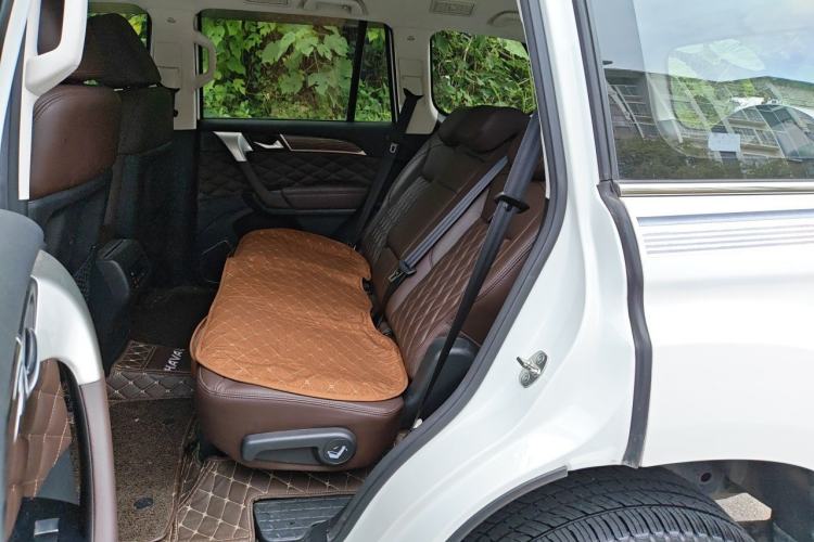 Used Haval H9 2020 2.0T Gasoline 4x4 Luxury 7-Seater Left Rear Seat
