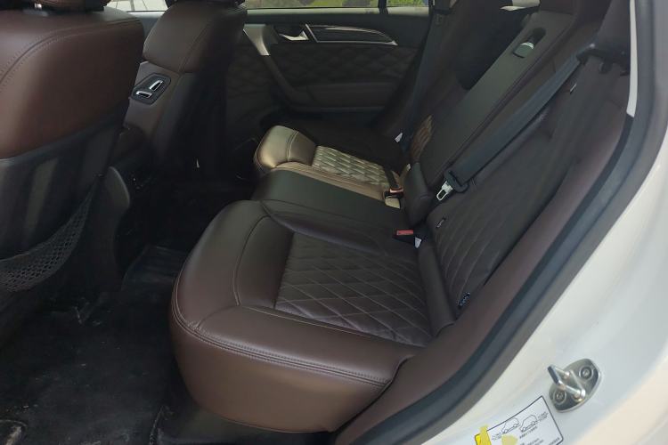 Used Haval H9 2020 2.0T Gasoline 4WD Premium Edition 5 Seats Left Rear Seat