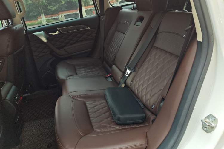 Used Haval H9 2020 2.0T Gasoline 4WD Premium Edition 5 Seats Left Rear Seat