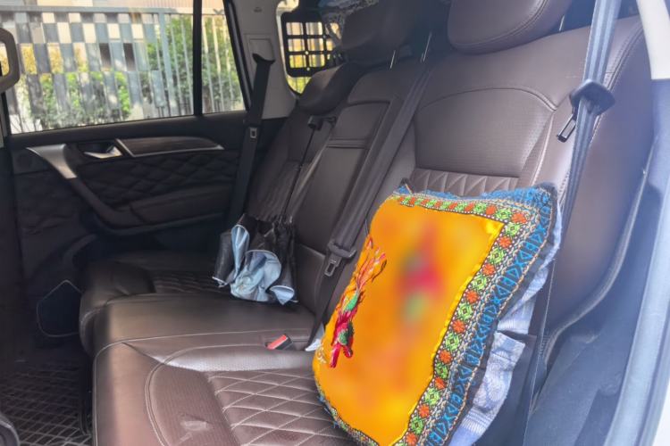 Used Haval H9 2020 2.0T Gasoline 4x4 Luxury 7-Seater Left Rear Seat