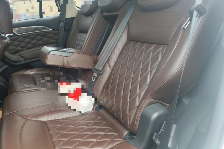 Used Haval H9 2020 2.0T Gasoline 4x4 Luxury 7-Seater Left Rear Seat