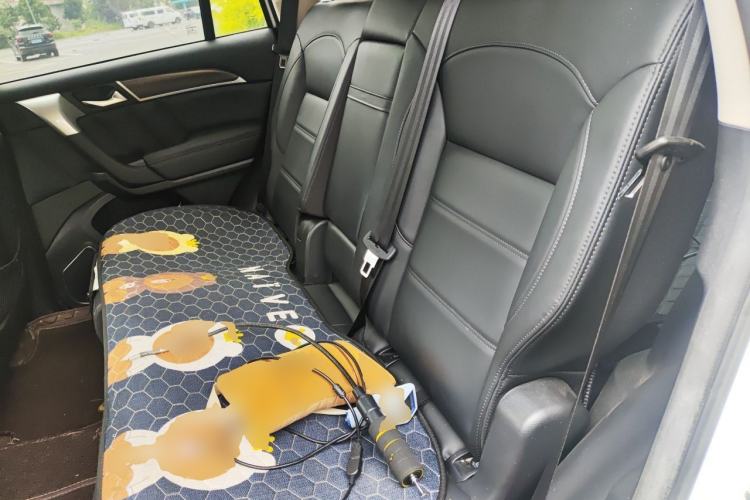 Used Haval H9 2020 2.0T Gasoline 4x4 Elite Version 5 Seats Left Rear Seat
