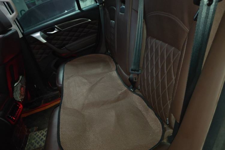 Used Haval H9 2020 2.0T Gasoline 4WD Premium Edition 5 Seats Left Rear Seat