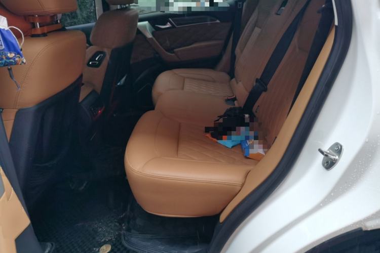 Used Haval H9 2020 2.0T Gasoline 4WD Premium Edition 5 Seats Left Rear Seat