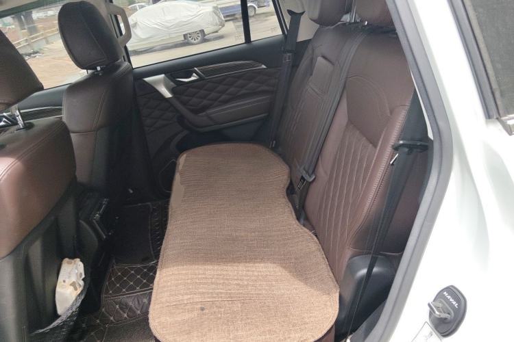 Used Haval H9 2020 2.0T Gasoline 4x4 Luxury 7-Seater Left Rear Seat