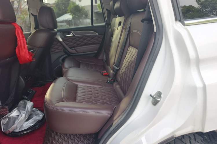Used Haval H9 2020 2.0T Gasoline 4WD Premium Edition 5 Seats Left Rear Seat