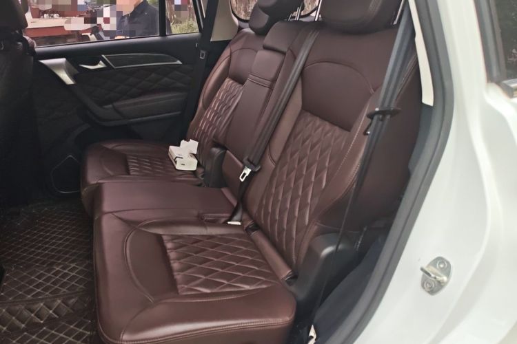 Used Haval H9 2020 2.0T Gasoline 4x4 Luxury 7-Seater Left Rear Seat