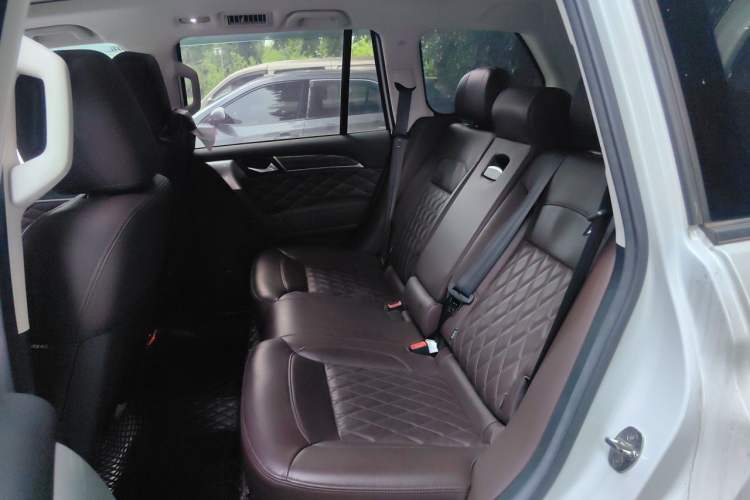 Used Haval H9 2020 2.0T Gasoline 4WD Premium Edition 5 Seats Left Rear Seat