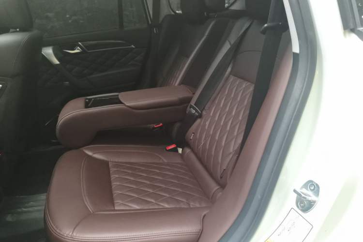 Used Haval H9 2020 2.0T Gasoline 4WD Premium Edition 5 Seats Left Rear Seat
