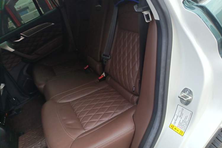 Used Haval H9 2020 2.0T Gasoline 4WD Premium Edition 5 Seats Left Rear Seat